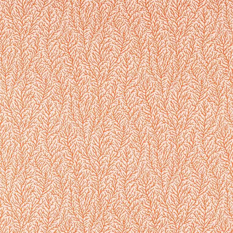 Harlequin fabrics, Seriphium, Walchia, Postelia, Espinillo, Kienze Jo