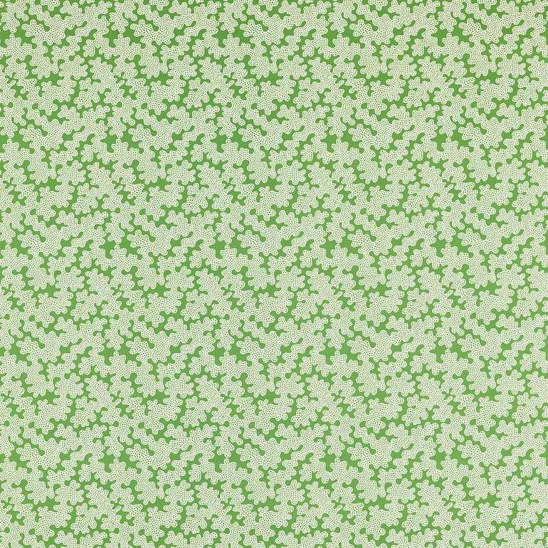 Harlequin fabrics, Seriphium, Walchia, Postelia, Espinillo, Kienze Jo